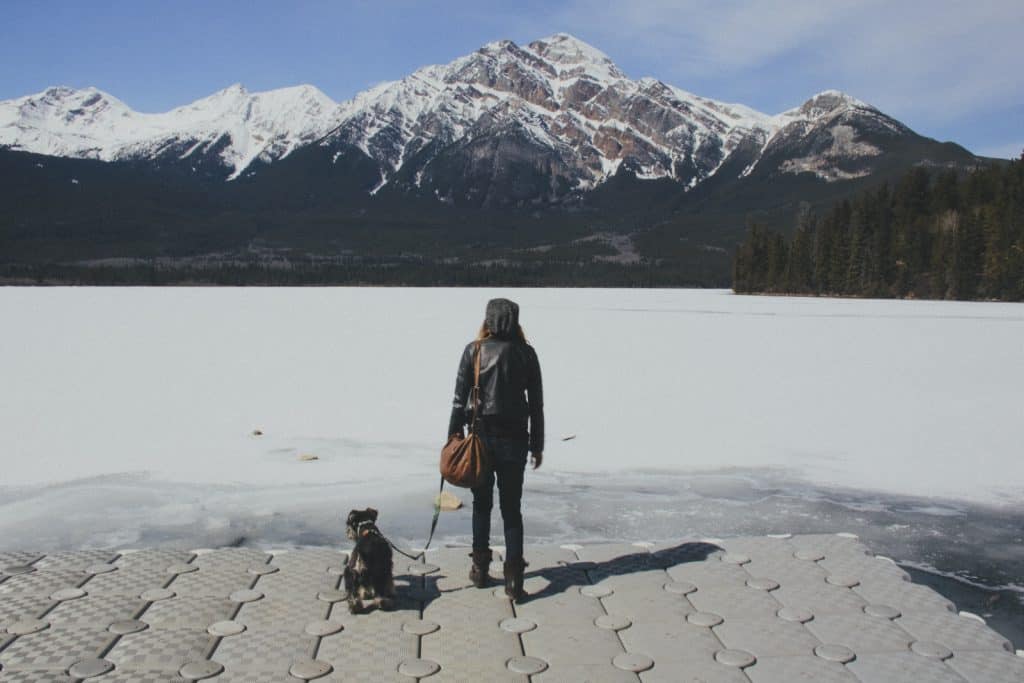 Looking into the snowcapped mountains in Jasper, Alberta