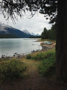 Northern Identity: Jasper 2015