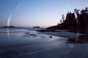 A Beach in Tofino